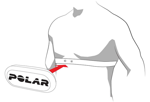 chest strap